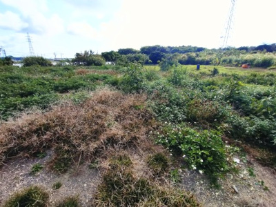 【その他】 | 糸満市座波貸地