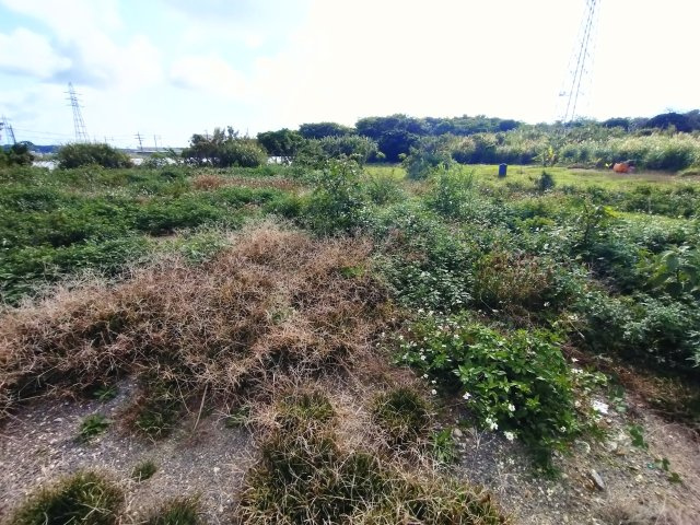 【その他】 | 糸満市座波貸地