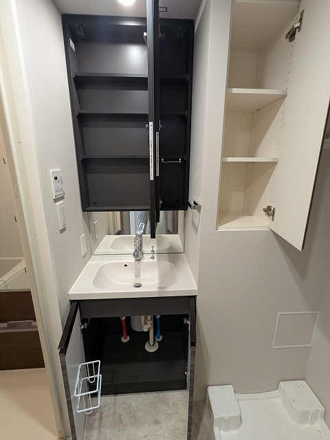 CREATIF秋葉原の設備|トイレと独立した洗面室、2面鏡付・ハンドシャワー付の洗面台、室内洗濯機置場は排水溝のお手入れがし易く手前中央に配置し、足高の防水パン