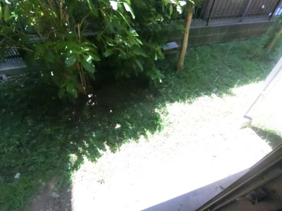 【バルコニー】 | パルフラット