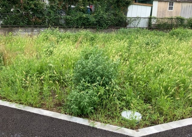 【外観】 | 現地に行くなら、物件の周囲の地形がどうなっているかを見ることも大切です。周辺より低くなっている土地では、大雨などで水が集まりやすいため、地盤が弱くなっているということも考えられるため、注意が必要です。