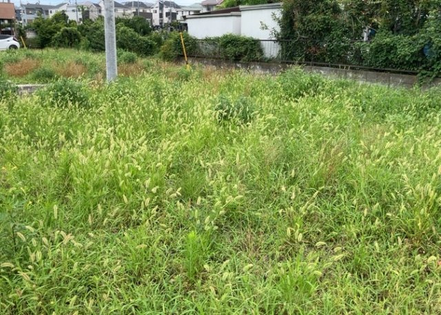 【外観】 | 土地購入を検討されている場合、境界杭がない状態で購入してしまうと境界確定測量をする必要があり、費用がかかります。購入の前に、売主、隣土地所有者立ち合いのもと境界を確定し境界杭を設置するのがベストです。