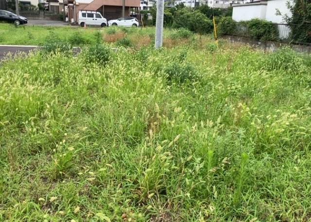 【外観】 | 家を建てる前提で土地を探している場合、地盤の丈夫さは譲れない条件の一つです。地盤が脆弱だと追加工事が必要となります。また、過去に地盤沈下や液状化現象を起こした土地は、できるだけ避けた方がいいでしょう。