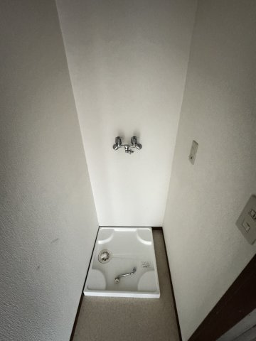 エスケーマンションの洗面所