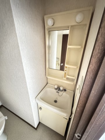 エスケーマンションの洗面所