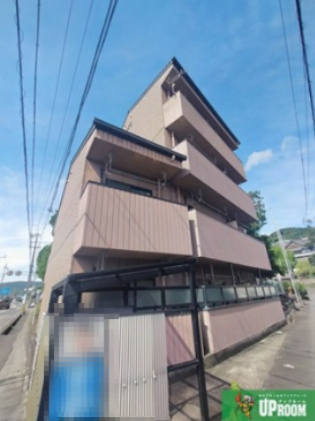 さくら