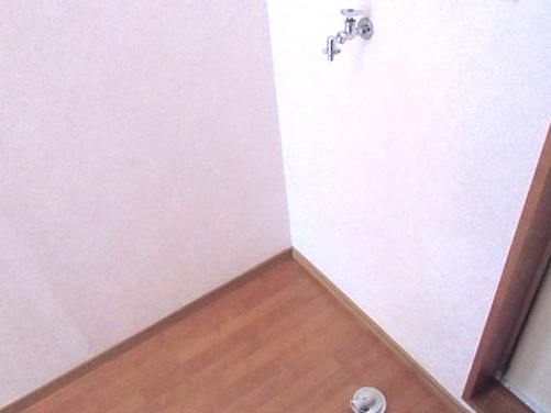 フェリシアテラスの洗面所