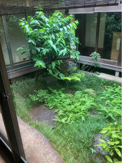  | 岡崎入江町　中古戸建【京町屋】