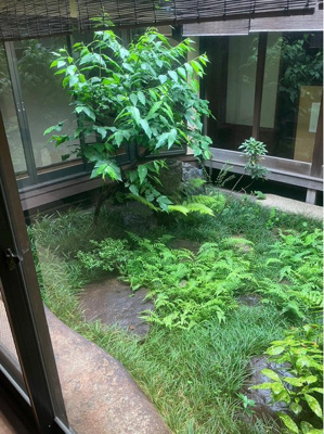  | 岡崎入江町　中古戸建【京町屋】