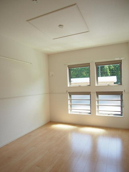 スターハートのその他