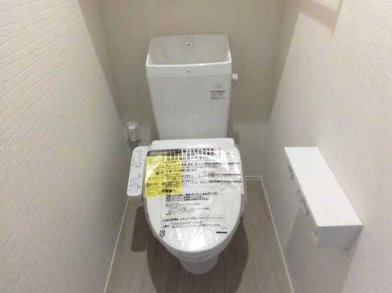 ロータスヒルＢのトイレ|落ち着いたトイレです