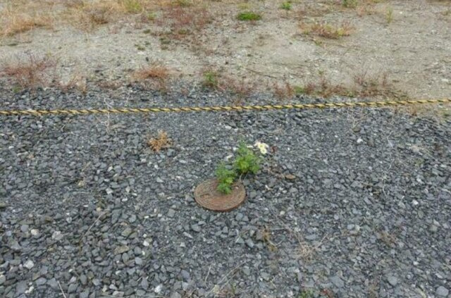 大槌町桜木町売地のその他|下水道引込済み