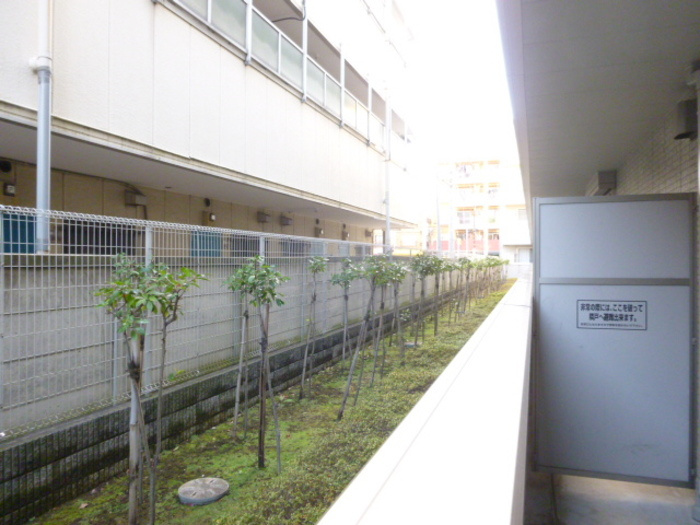 ロイヤルパレス市川のバルコニー