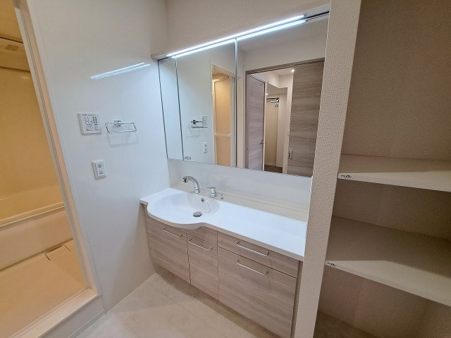 D-residence上甲子園の洗面所