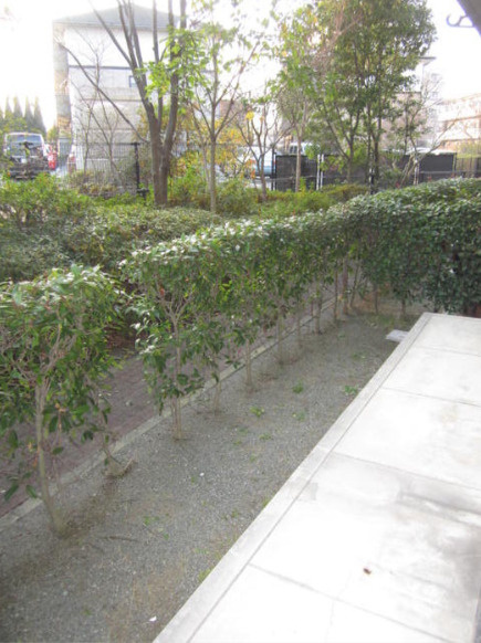 シャルム高松IIの庭|お庭でゆったりと過ごせます