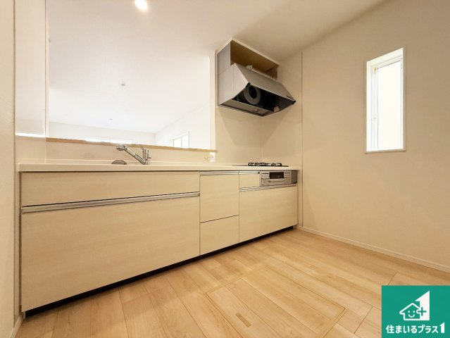 泉佐野市俵屋　第1期　新築一戸建てのその他|スライド式の収納！浄水器付きシャワー水栓！