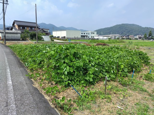 ６５５２２　本巣市曽井中島土地の外観