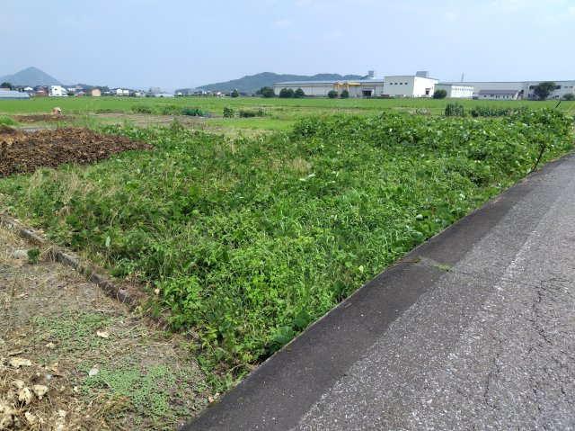 ６５５２２　本巣市曽井中島土地の外観
