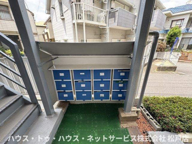 Ｂｅｌｌ　Ｆｌｏｒａのその他