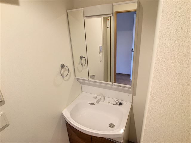 103 residenceの洗面所