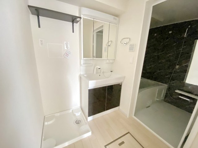 【独立洗面台】 | アプリコットD