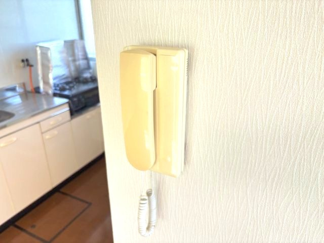 エルヴェウエダのセキュリティ