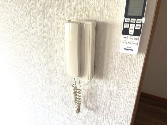 エルヴェウエダのセキュリティ