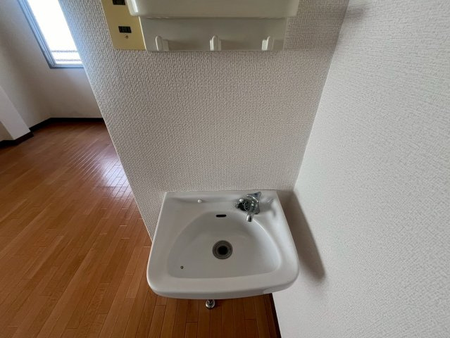 フラッグス肥後橋の洗面所