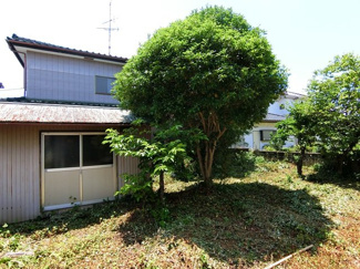 【庭】 | 高勢町貸家 | お庭でゆったりと過ごせます