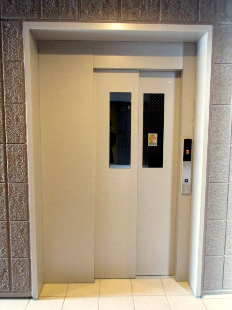 Viseo DCのその他共用部分|★エレベーターあります★