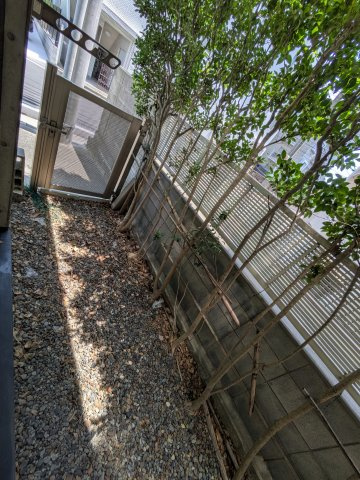 ＭＡＸＩＶ日吉の庭