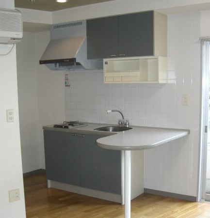 セントラルルミナスのキッチン