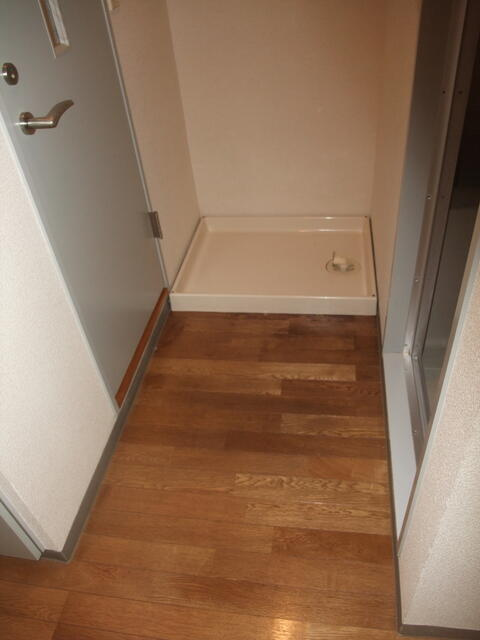 セントラルルミナスのその他