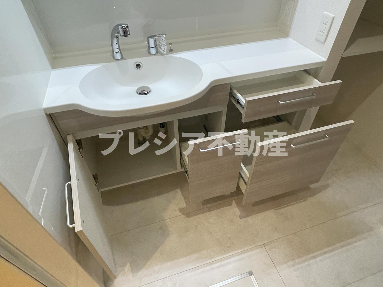 D-residence上甲子園の洗面所