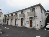 アムール　青葉の画像