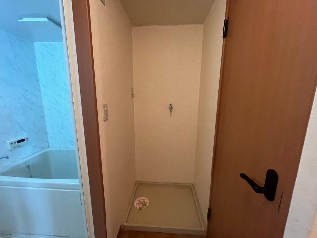 リバーグレイスのその他|洗濯機置場