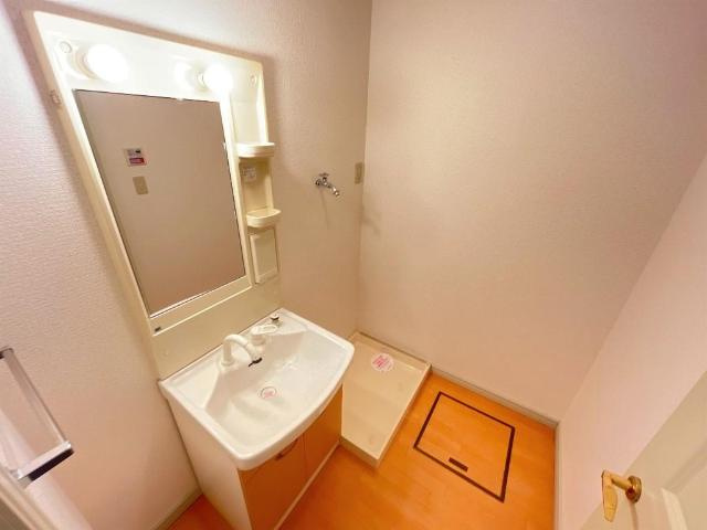 どんどんハウスⅡの洗面所|洗髪洗面化粧台