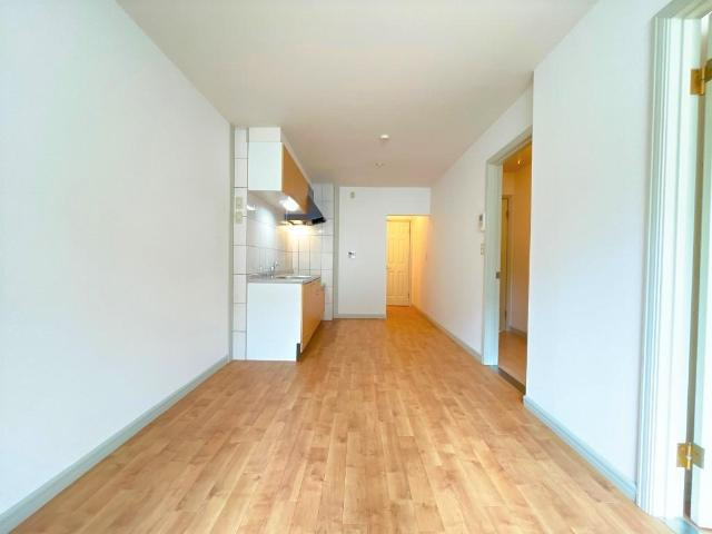 どんどんハウスⅡの居間・リビング|リビング