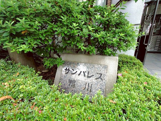 ◆Ｒ７年６月リノベーション完了済み◆オートロック付きマンション◆ゆったり３ＬＤＫ◆サンパレス鴨川のエントランス|エントランス