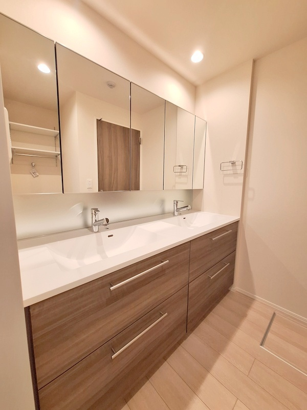 メゾン　デラーブル大宮の洗面所