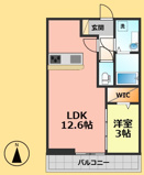 プラムⅥの画像