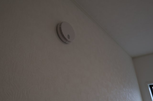 【その他】 | 《仲介手数料無料》岩槻区大字表慈恩寺1420-53(全1戸)新築一戸建てクレイドルガーデン | 撮影日 2025年9月18日 16:40 晴れ