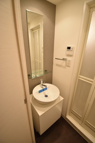 S-RESIDENCE難波Brillerの独立洗面台
