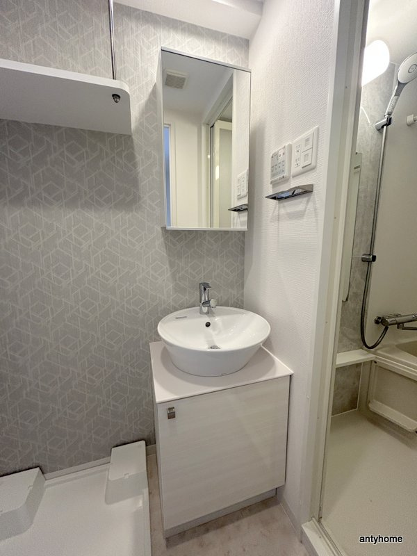 エスリードザグラン大阪ノース　仲介手数料無料の洗面所