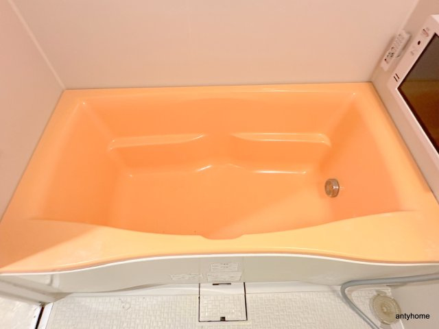 BGC難波タワー　仲介手数料無料の浴室