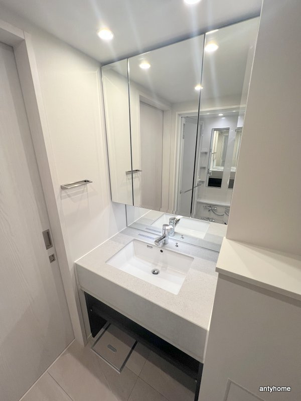 グランドメゾン谷町4丁目　仲介手数料無料の洗面所