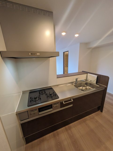 エレナ本山のキッチン