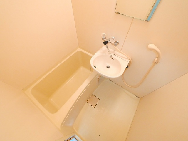 ルーチェ菅原の浴室