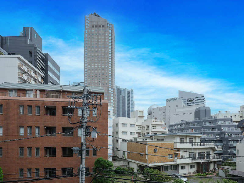 ザ・パークハウス渋谷南平台の展望