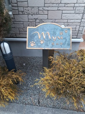 【その他】 | ミュウ